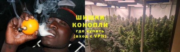 метадон Михайлов