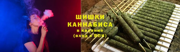 ПСИЛОЦИБИНОВЫЕ ГРИБЫ Белокуриха