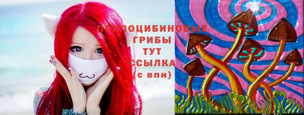 метадон Михайлов