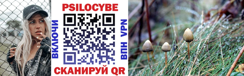 Галлюциногенные грибы Magic Shrooms  Новороссийск 
