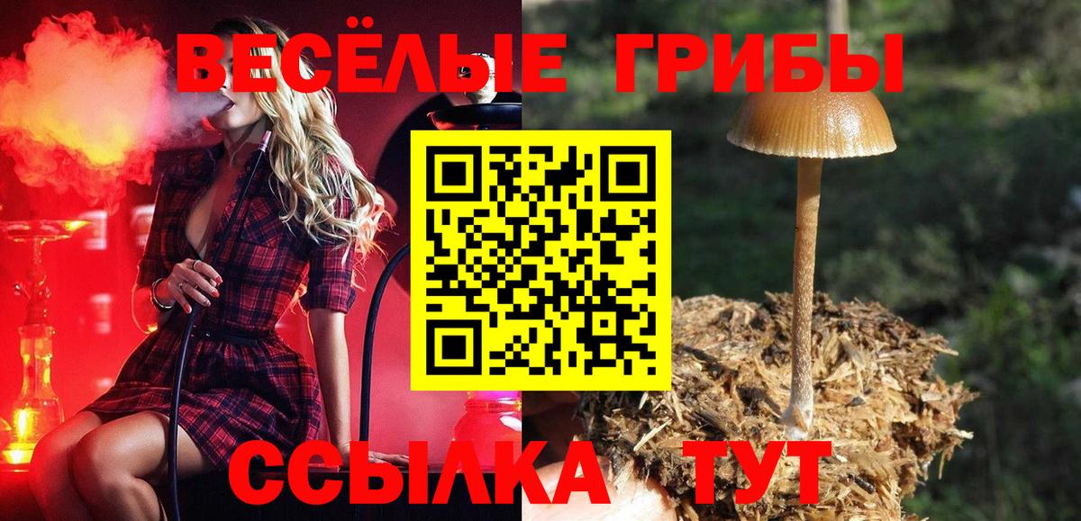 ГЕРОИН Новороссийск